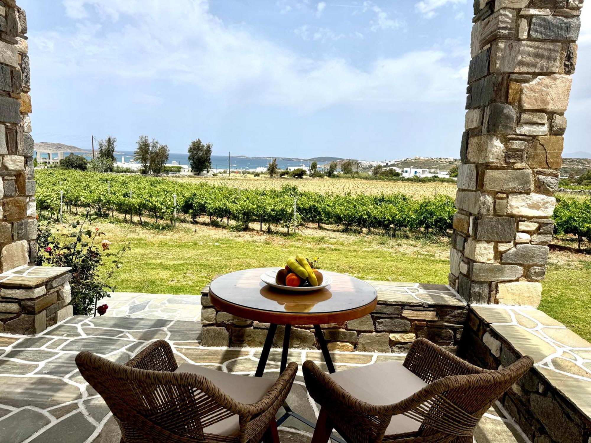 Agrabeli Paros Aparthotel Naousa  Ngoại thất bức ảnh